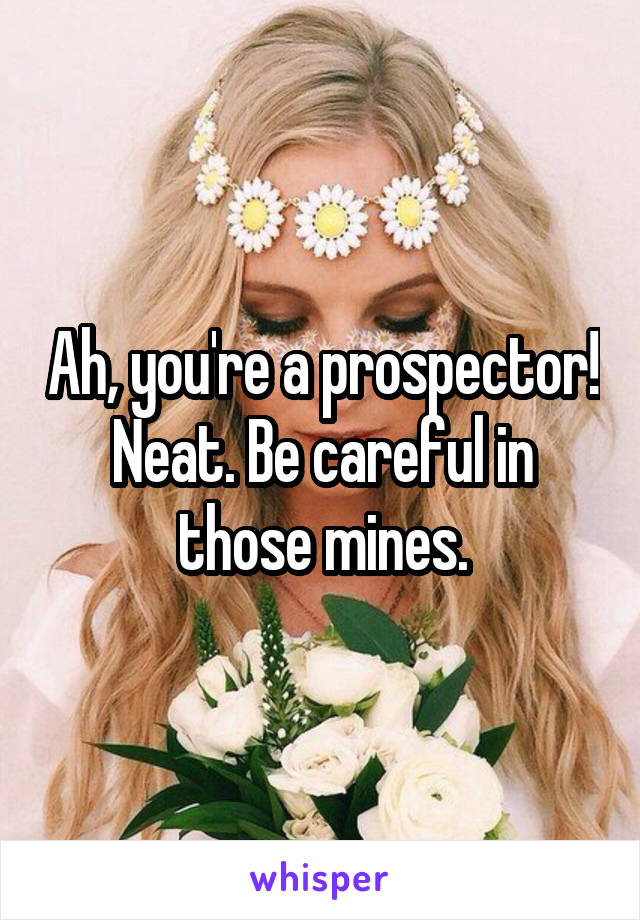 Ah, you're a prospector! Neat. Be careful in those mines.