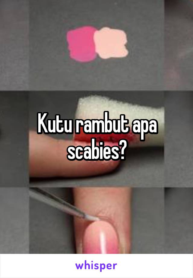 Kutu rambut apa scabies?