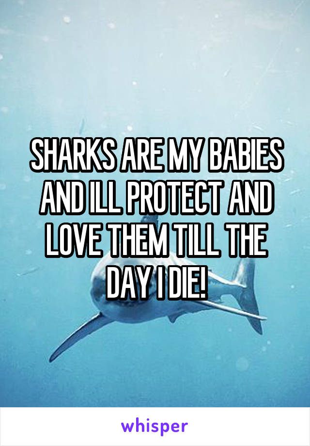 SHARKS ARE MY BABIES AND ILL PROTECT AND LOVE THEM TILL THE DAY I DIE!