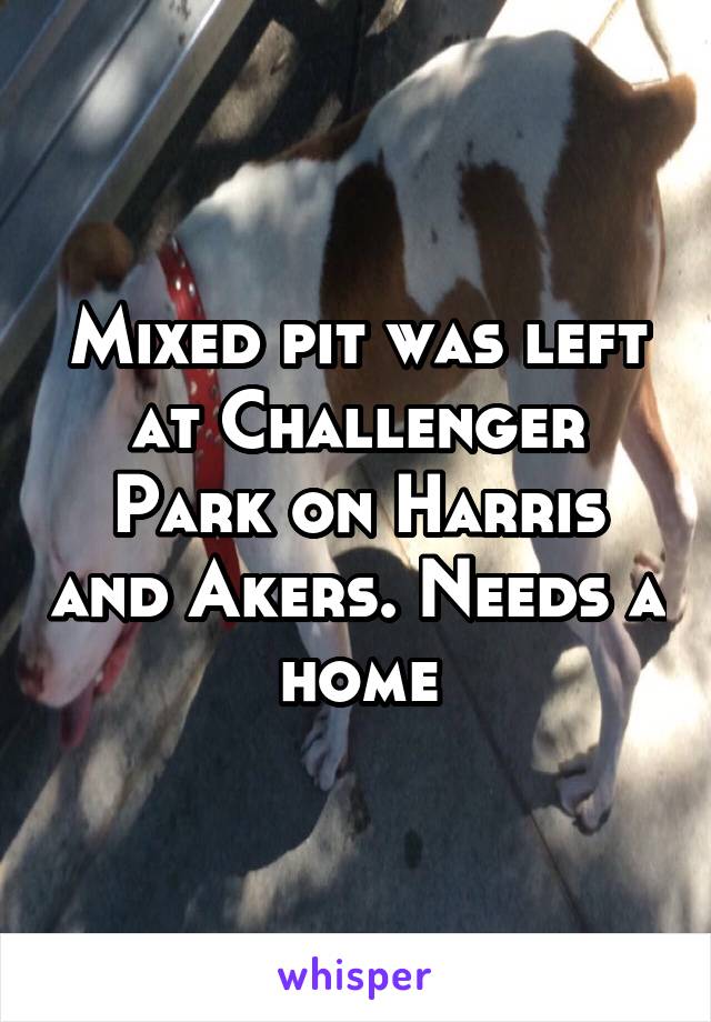 Mixed pit was left at Challenger Park on Harris and Akers. Needs a home