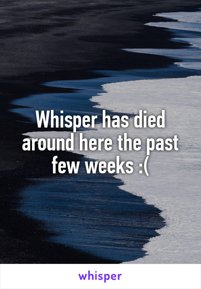 Whisper has died around here the past few weeks :(