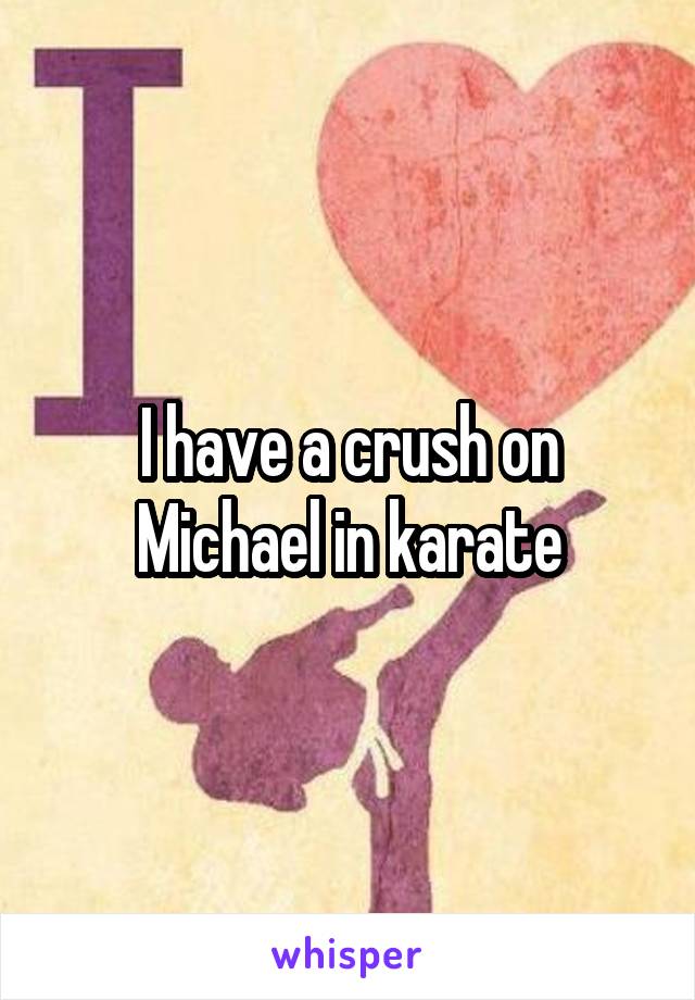 I have a crush on Michael in karate