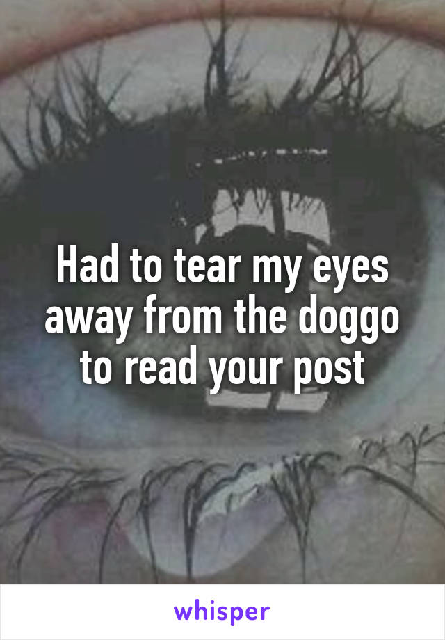 Had to tear my eyes away from the doggo to read your post