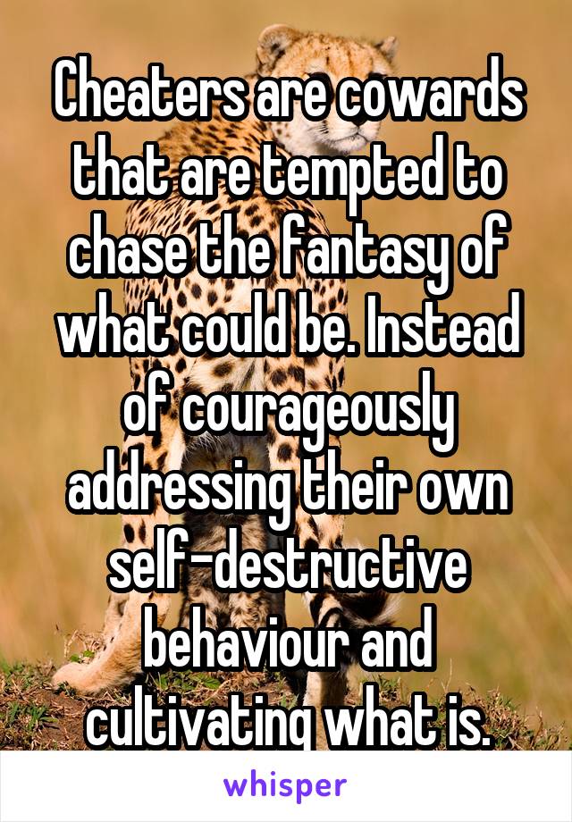 Cheaters are cowards that are tempted to chase the fantasy of what could be. Instead of courageously addressing their own self-destructive behaviour and cultivating what is.