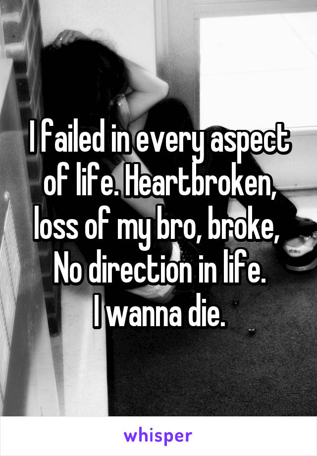 I failed in every aspect of life. Heartbroken, loss of my bro, broke, 
No direction in life.
I wanna die.