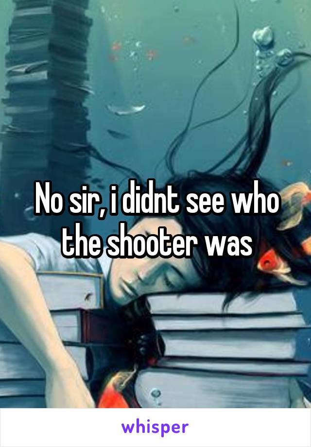 No sir, i didnt see who the shooter was