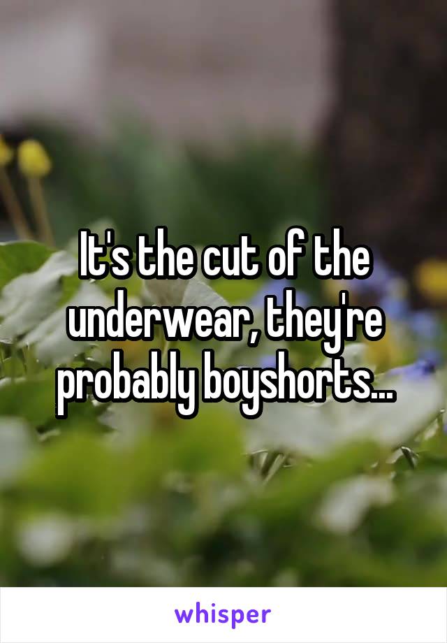 It's the cut of the underwear, they're probably boyshorts...