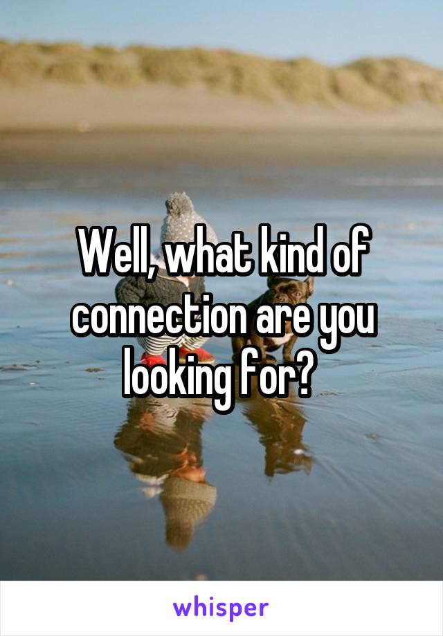 Well, what kind of connection are you looking for? 