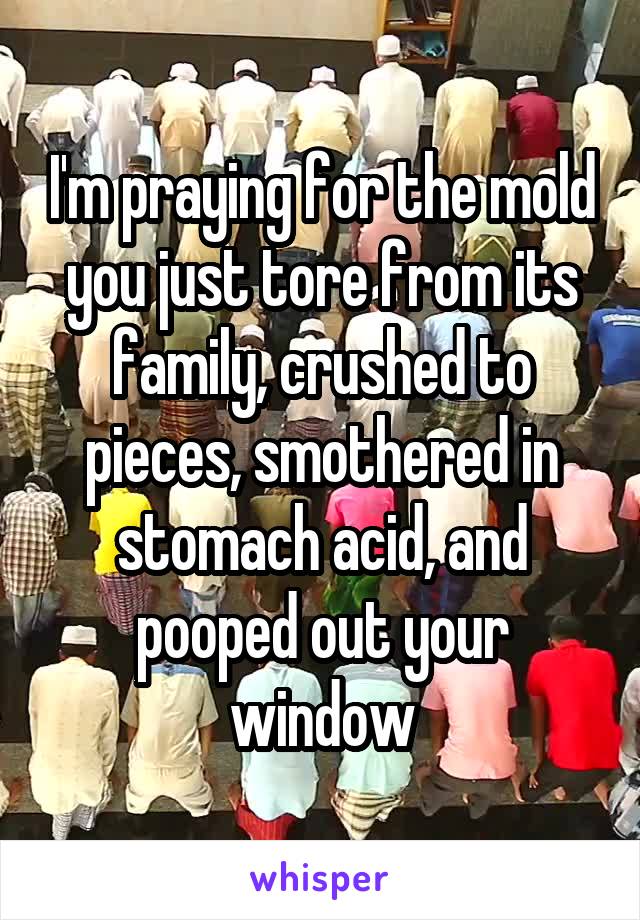 I'm praying for the mold you just tore from its family, crushed to pieces, smothered in stomach acid, and pooped out your window