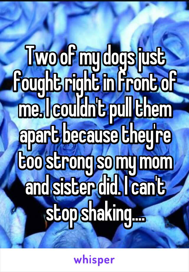 Two of my dogs just fought right in front of me. I couldn't pull them apart because they're too strong so my mom and sister did. I can't stop shaking....