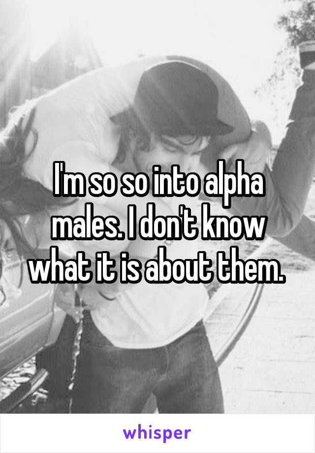 I'm so so into alpha males. I don't know what it is about them. 