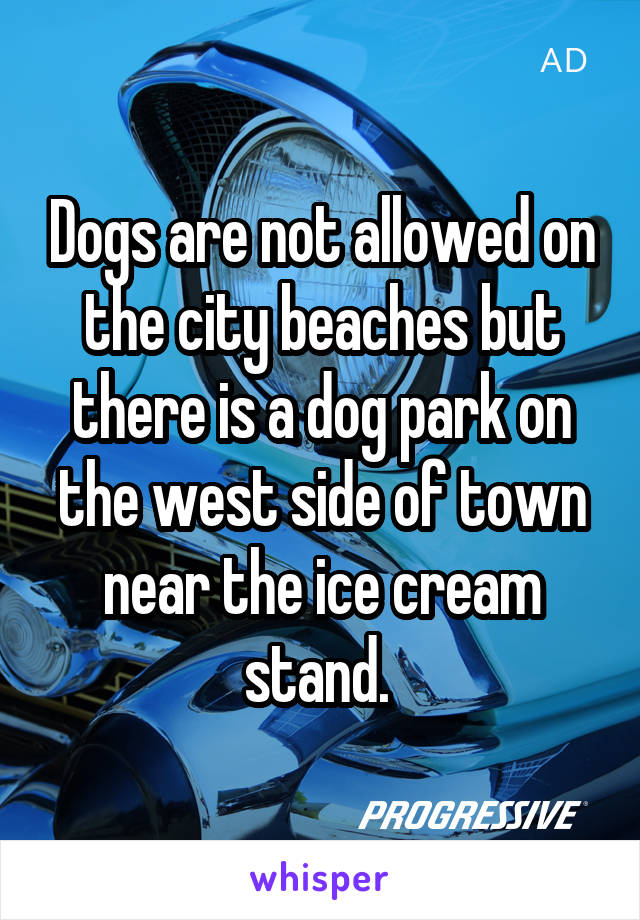 Dogs are not allowed on the city beaches but there is a dog park on the west side of town near the ice cream stand. 