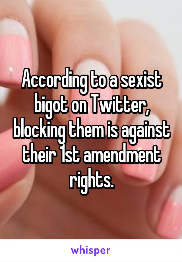 According to a sexist bigot on Twitter, blocking them is against their 1st amendment rights.