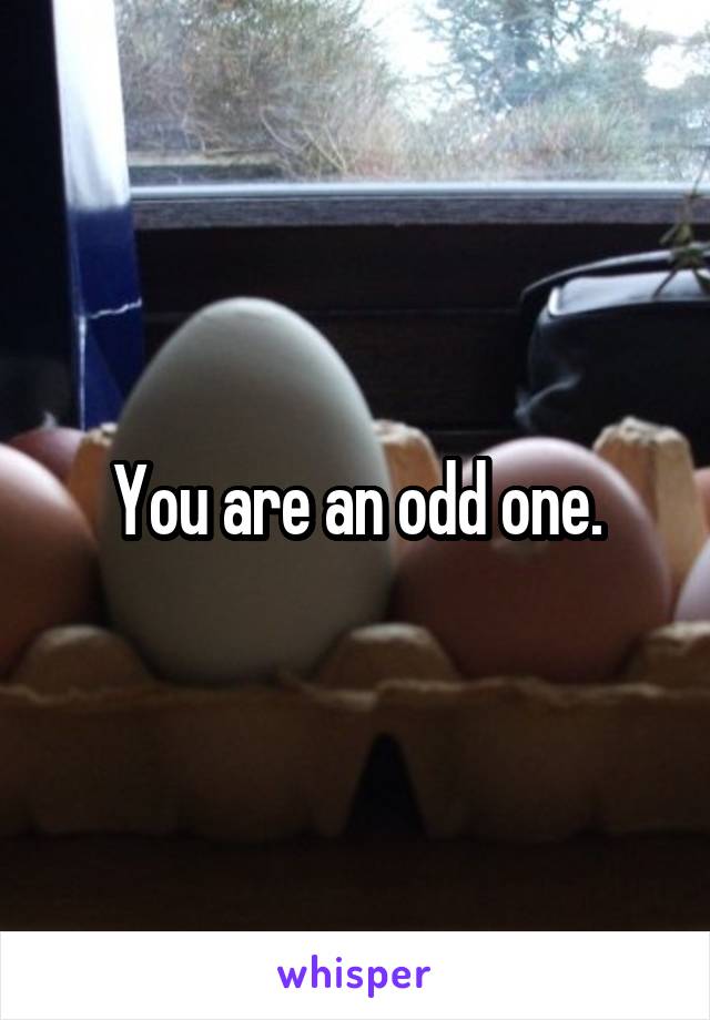 You are an odd one.