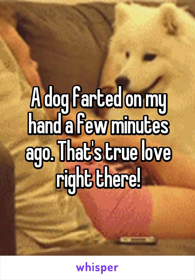 A dog farted on my hand a few minutes ago. That's true love right there!