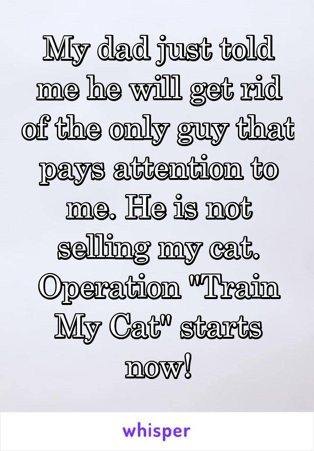 My dad just told me he will get rid of the only guy that pays attention to me. He is not selling my cat. Operation "Train My Cat" starts now!
