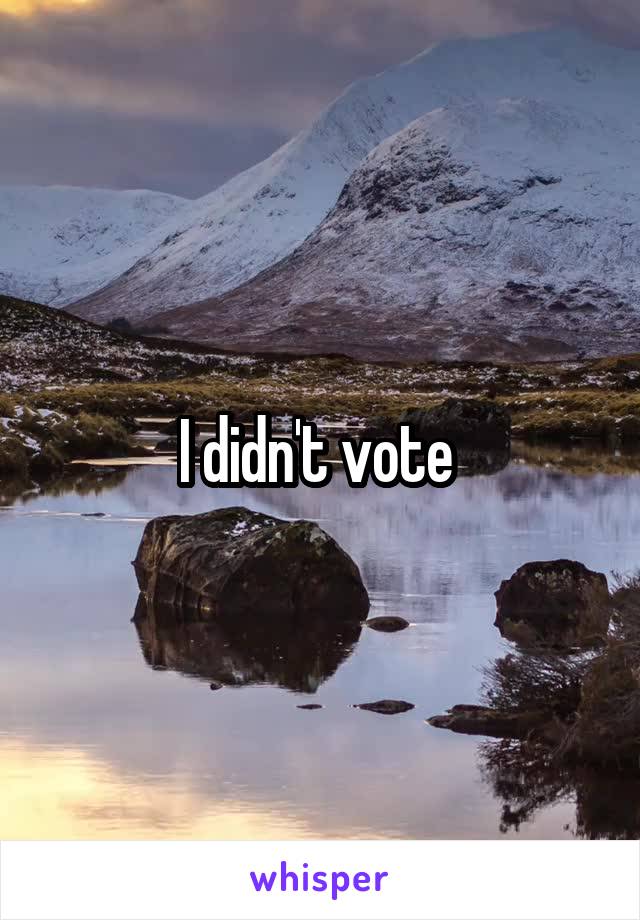 I didn't vote 