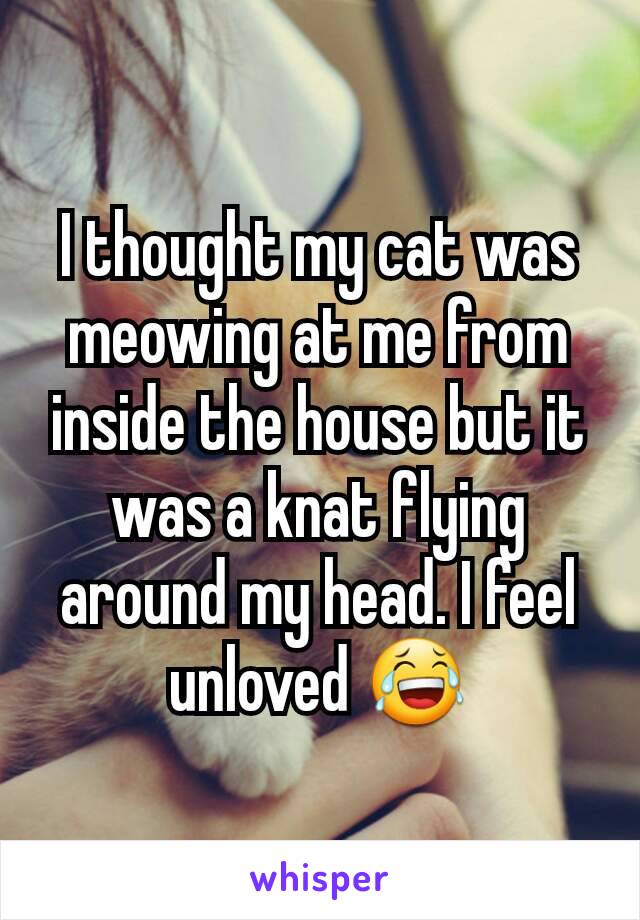 I thought my cat was meowing at me from inside the house but it was a knat flying around my head. I feel unloved 😂