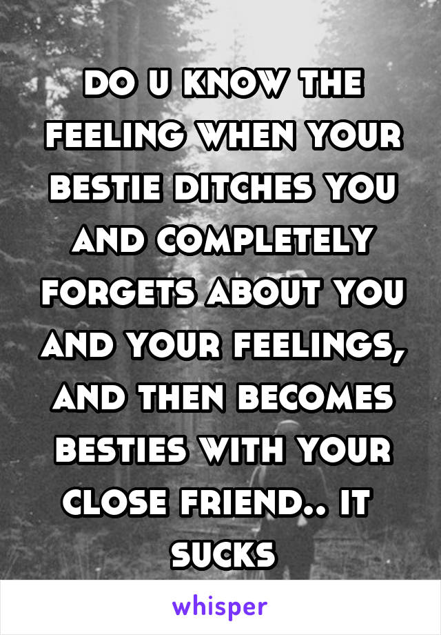 do u know the feeling when your bestie ditches you and completely forgets about you and your feelings, and then becomes
besties with your close friend.. it 
sucks