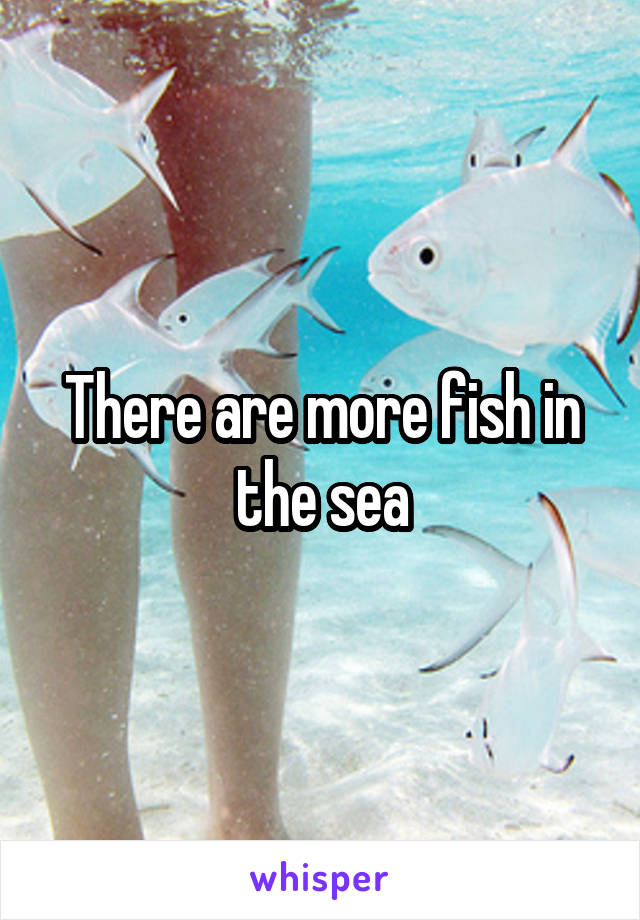 There are more fish in the sea