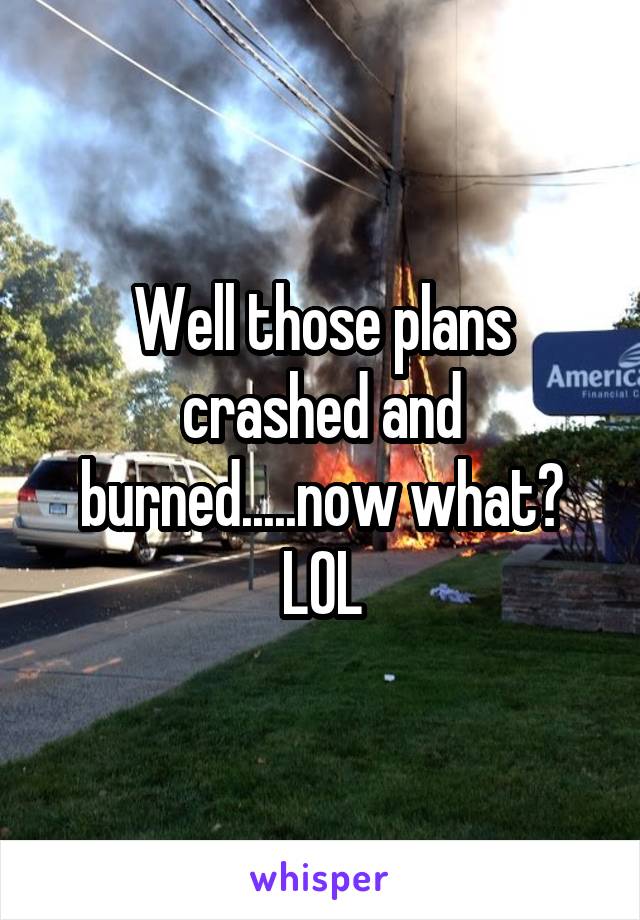 Well those plans crashed and burned.....now what?
LOL