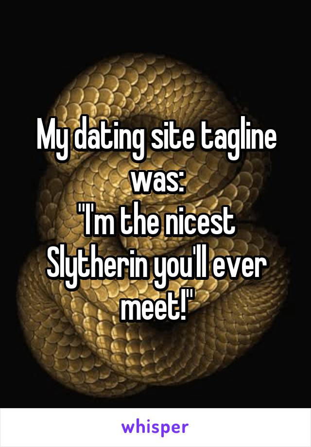 My dating site tagline was:
"I'm the nicest Slytherin you'll ever meet!"