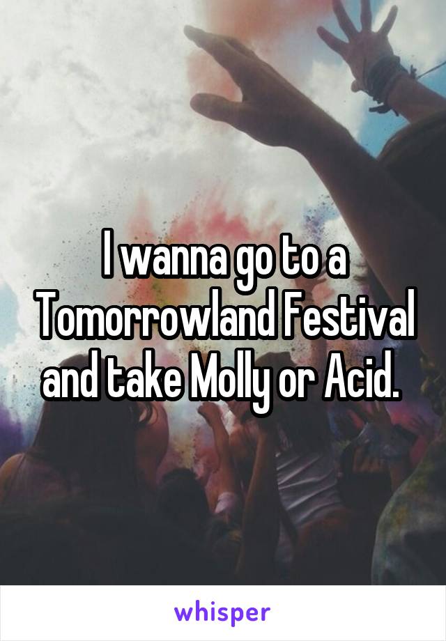 I wanna go to a Tomorrowland Festival and take Molly or Acid. 