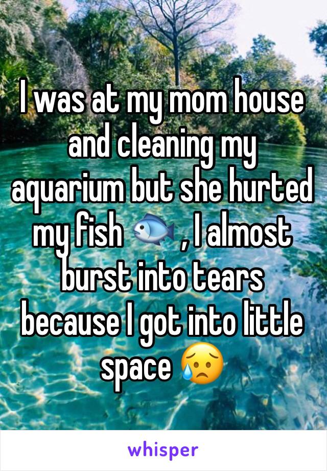 I was at my mom house and cleaning my aquarium but she hurted my fish 🐟 , I almost burst into tears because I got into little space 😥