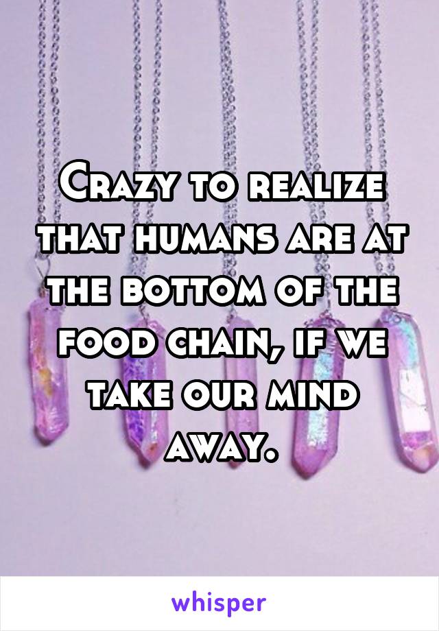 Crazy to realize that humans are at the bottom of the food chain, if we take our mind away.