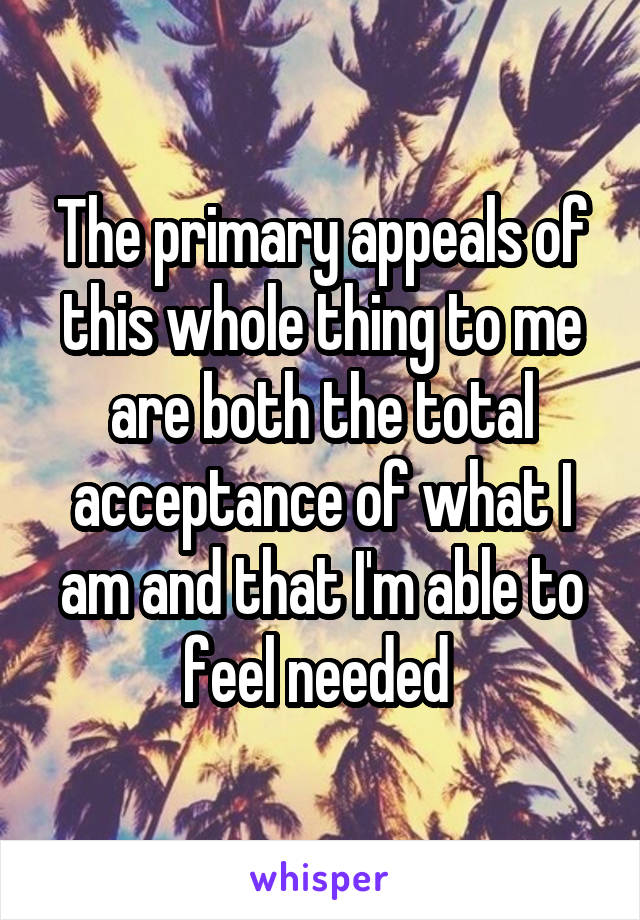 The primary appeals of this whole thing to me are both the total acceptance of what I am and that I'm able to feel needed 