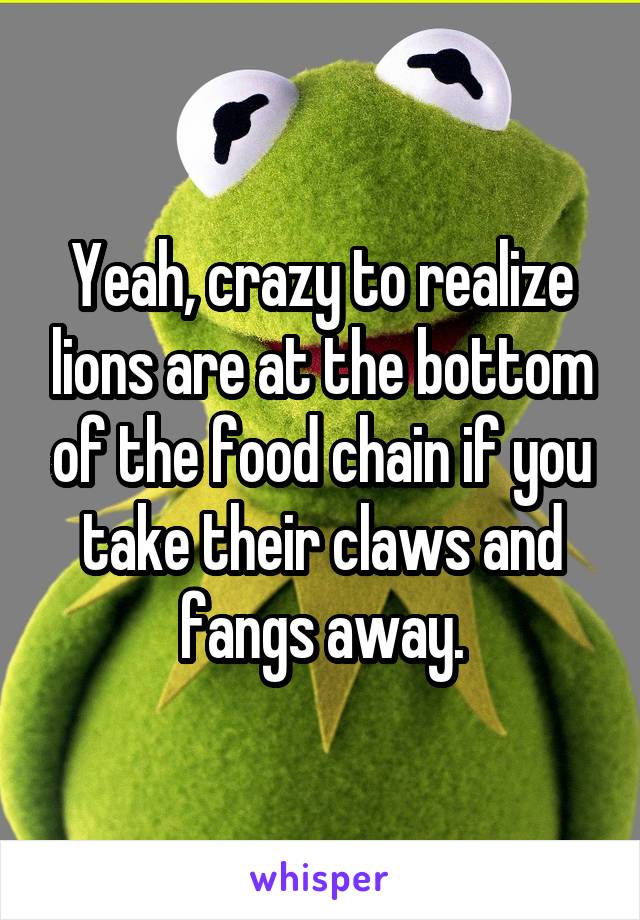 Yeah, crazy to realize lions are at the bottom of the food chain if you take their claws and fangs away.