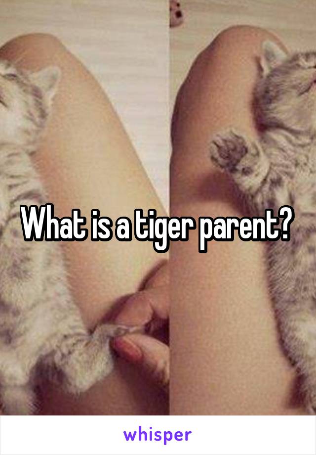 What is a tiger parent? 