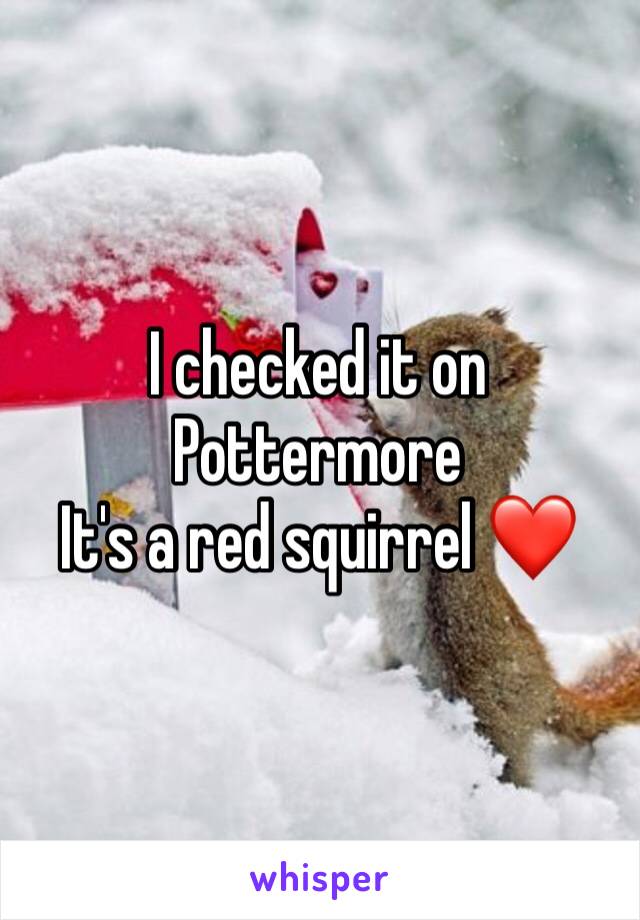 I checked it on Pottermore
It's a red squirrel ❤️