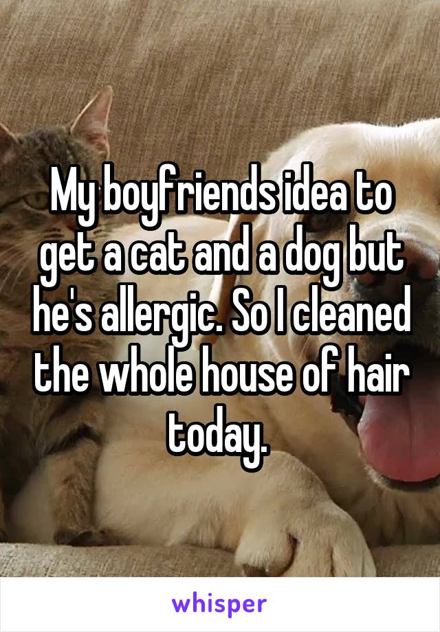 My boyfriends idea to get a cat and a dog but he's allergic. So I cleaned the whole house of hair today. 