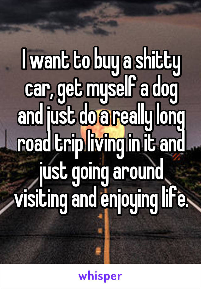 I want to buy a shitty car, get myself a dog and just do a really long road trip living in it and just going around visiting and enjoying life. 