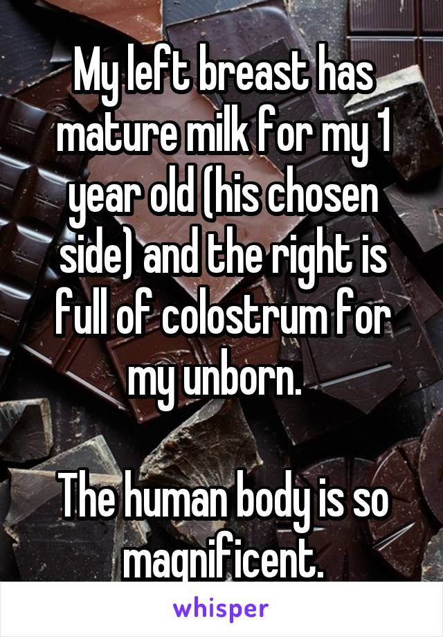 My left breast has mature milk for my 1 year old (his chosen side) and the right is full of colostrum for my unborn.  

The human body is so magnificent.