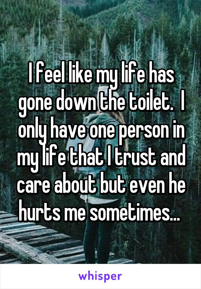 I feel like my life has gone down the toilet.  I only have one person in my life that I trust and care about but even he hurts me sometimes... 