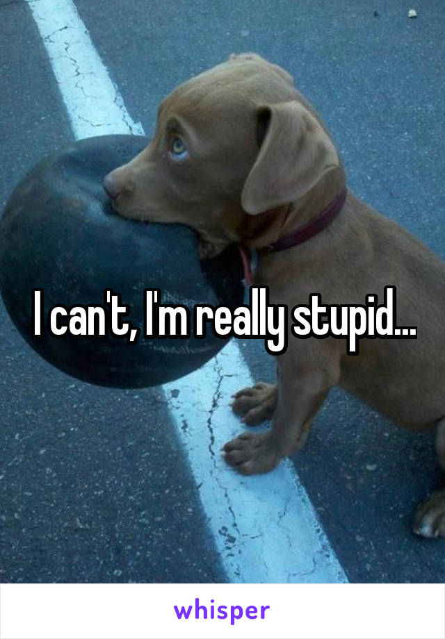 I can't, I'm really stupid...