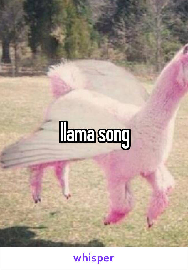 llama song