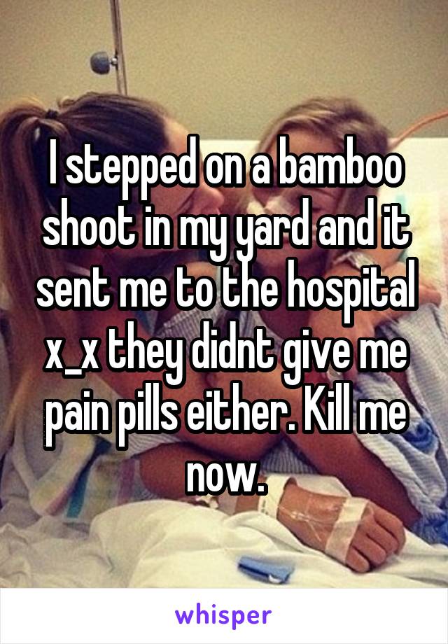 I stepped on a bamboo shoot in my yard and it sent me to the hospital x_x they didnt give me pain pills either. Kill me now.