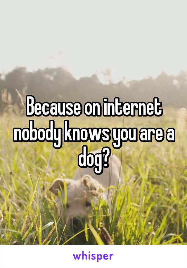 Because on internet nobody knows you are a dog?