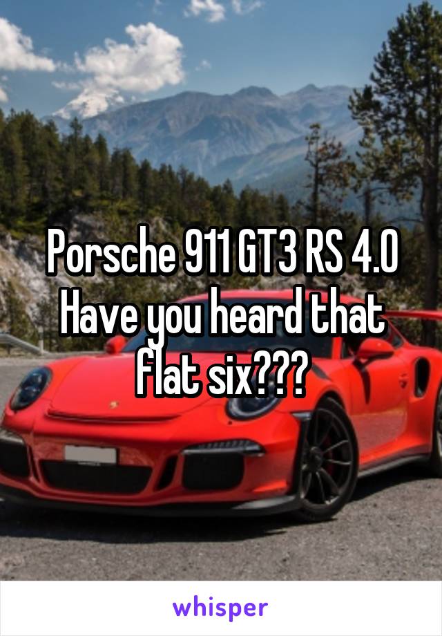 Porsche 911 GT3 RS 4.0
Have you heard that flat six???