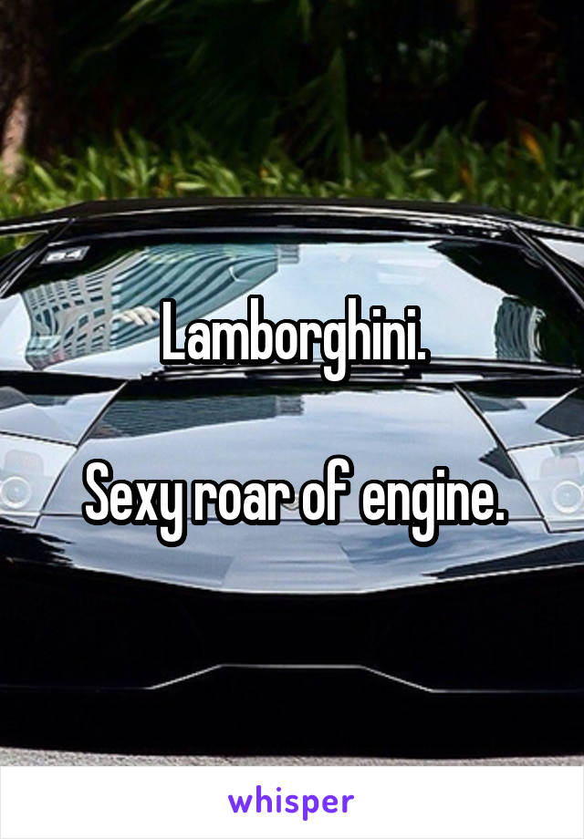 Lamborghini.

Sexy roar of engine.