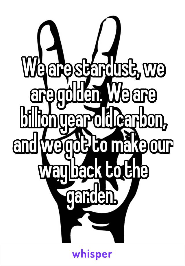 We are stardust, we are golden. We are billion year old carbon, and we got to make our way back to the garden. 