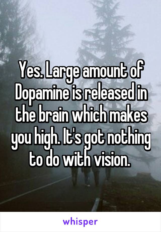 Yes. Large amount of Dopamine is released in the brain which makes you high. It's got nothing to do with vision. 