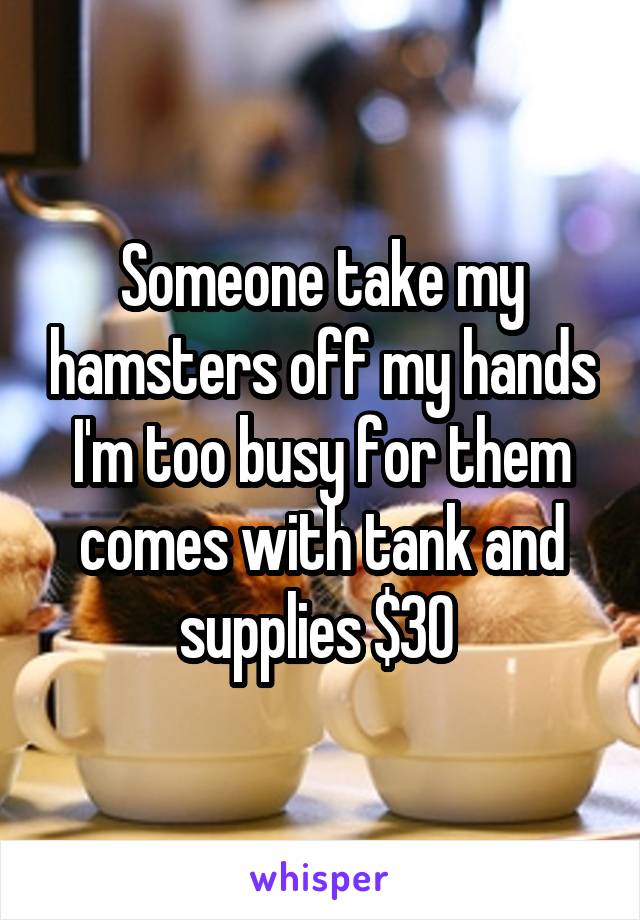 Someone take my hamsters off my hands I'm too busy for them comes with tank and supplies $30 