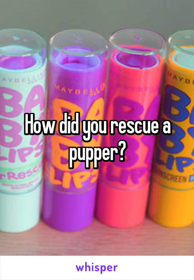 How did you rescue a pupper?