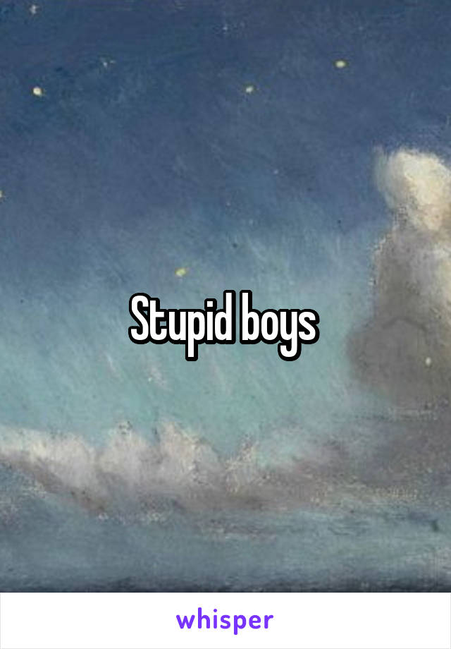 Stupid boys 
