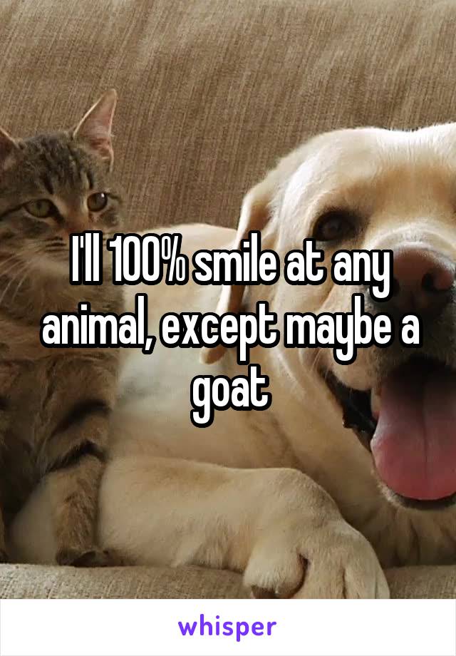 I'll 100% smile at any animal, except maybe a goat