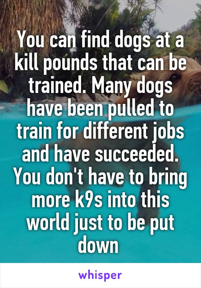 You can find dogs at a kill pounds that can be trained. Many dogs have been pulled to train for different jobs and have succeeded. You don't have to bring more k9s into this world just to be put down 